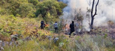 Kebakaran Hutan