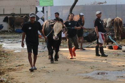 Cegah Pencemaran Lingkungan, Pemkot Surabaya Larang Pembuangan Rumen di Sungai