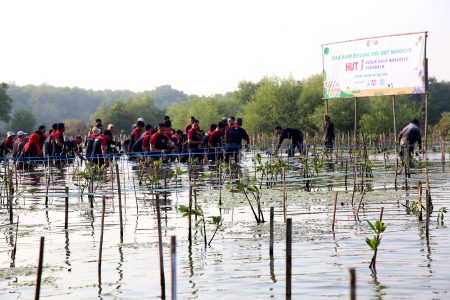 Pemkot Surabaya dan Wahana Visi Indonesia Jalin Kerjasama Pelestarian Lingkungan dan Konservasi Mangrove