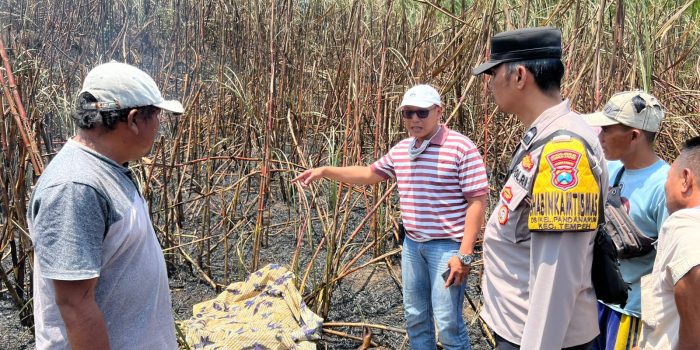 Warga Tewas Terbakar Saat Padamkan Api Lahan Tebu di Desa Lempeni