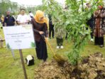 Khofifah Tanam Pohon Maja di IKN, Simbol Sinergi Nusantara