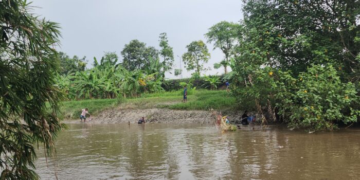 Ribuan Ikan Mati di Kali Surabaya, ECOTON Desak Investigasi Pencemaran