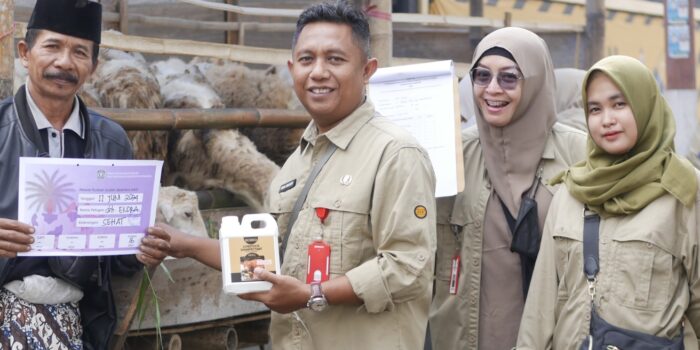 Stok Hewan Kurban di Lumajang Cukup