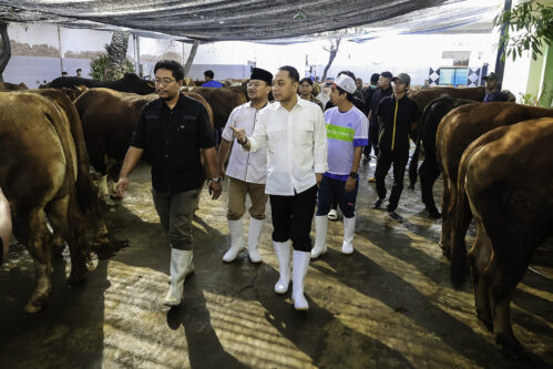 Wali Kota Surabaya Cek Sapi Kurban Presiden dan Larang Plastik Sekali Pakai