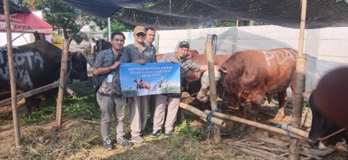 Sinergi BUMD, Perumda dan RPH Surabaya Laksanakan Kurban Bersama