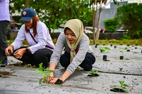 Cegah Harga Melonjak, Pemkot Surabaya Gerakkan Urban Farming Massal