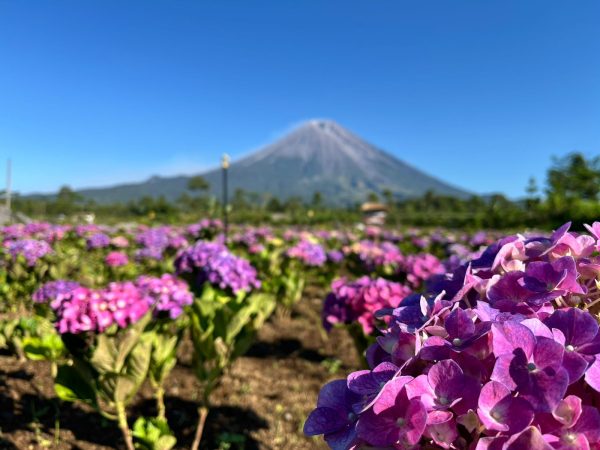 Lumajang Hadirkan Destinasi Warna-Warni di Lereng Gunung Semeru