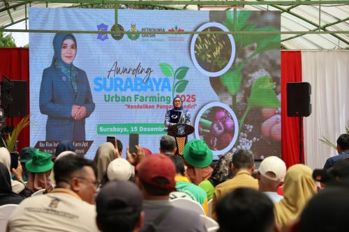 Cabai dan Bawang Merah Jadi Fokus Urban Farming Surabaya 2025 Cabai dan Bawang Merah Jadi Fokus Urban Farming Surabaya 2025