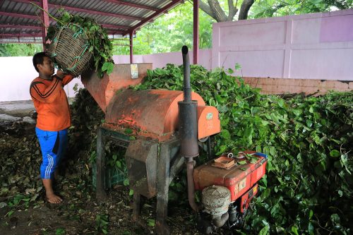 Rumah Kompos Surabaya Hemat Anggaran hingga Rp6,73 Miliar per Tahun Rumah Kompos Surabaya Hemat Anggaran hingga Rp6,73 Miliar per Tahun