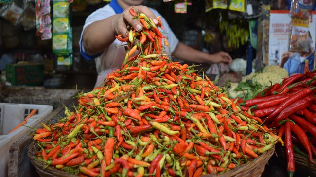 Harga Cabai Rawit Merah Naik Jelang Ramadan, Indef Sebut Inflasi Musiman