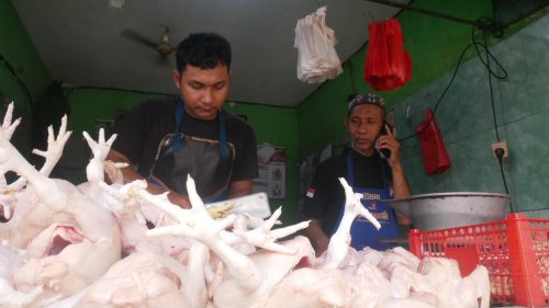 Harga Ayam Potong di Pasar Baru Lumajang Meroket Jelang Ramadhan, Tembus Rp40 Ribu per Kilogram