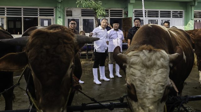 Idul Adha 2026, RPH Surabaya Tak Jual Hewan Kurban, Fokus Layanan Pemotongan