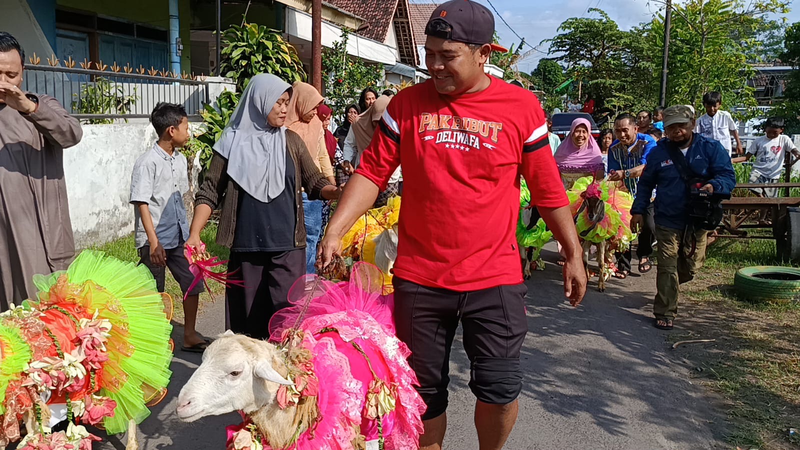 Tradisi Unik Idul Adha di Lumajang, Kambing Kurban Dirias Ala Karnaval lalu Diarak Keliling Kampung