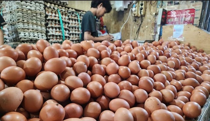 Harga Telur Anjlok di Jatim, Produksi Melimpah Tak Diimbangi Serapan Pasar
