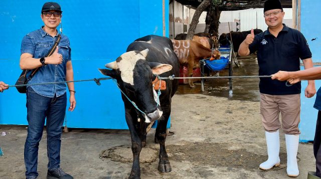 Rayakan Iduladha, PAM Surya Sembada Surabaya Distribusikan 13 Ekor Sapi Kurban