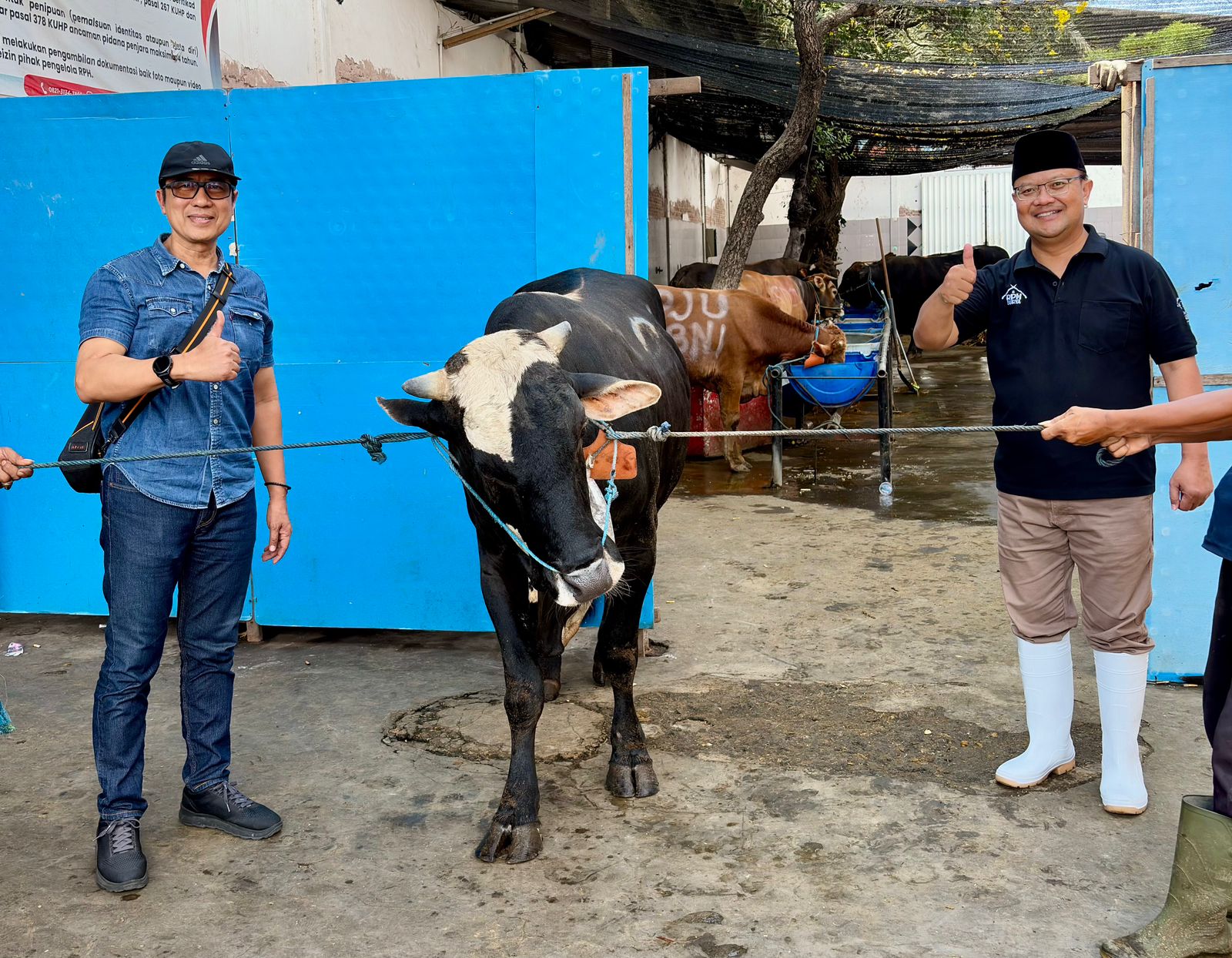 Rayakan Iduladha, PAM Surya Sembada Surabaya Distribusikan 13 Ekor Sapi Kurban