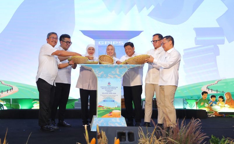 BI dan Pemerintah Perkuat Gerakan Kendalikan Inflasi Pangan