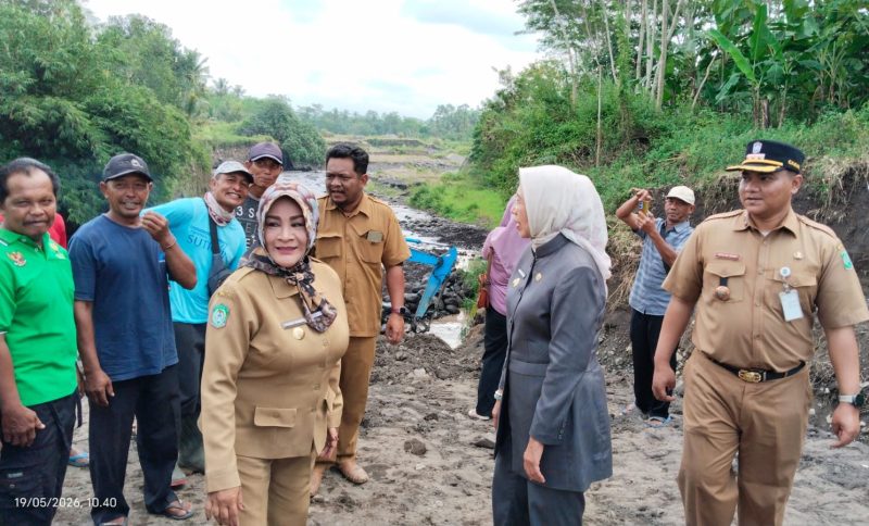 Petani Lumajang Gotong Royong Perbaiki Dam Klerek, Sawah Mulai Dialiri Air
