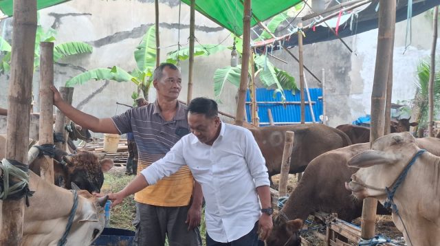 DPRD Surabaya Minta Kelurahan Proaktif Awasi Lapak Hewan Kurban