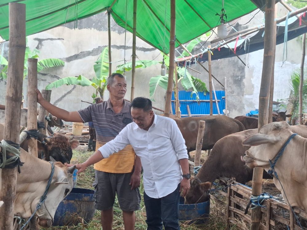 Lapak Kurban Disidak Anas Karno Sekretaris Komisi A DPRD Kota Surabaya DPRD Surabaya Minta Kelurahan Proaktif Awasi Lapak Hewan Kurban