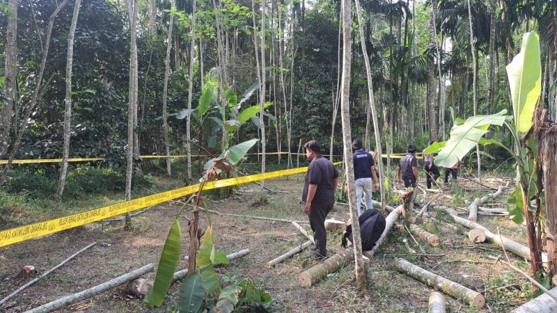 Carok Lumajang Duel Carok di Lumajang Tewaskan Satu Orang, Polisi Selidiki Dugaan Pelaku Lain