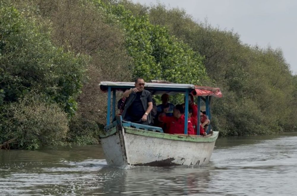Instruksi DPP PDIP, Cak Ji dan Kader Banteng Susuri Hutan Mangrove Surabaya Antisipasi Abrasi dan El Nino