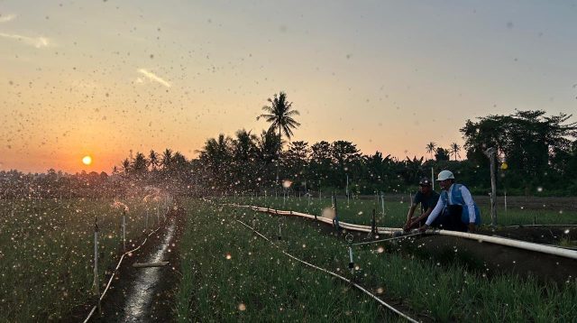 Juli-September 2026, Tarif Listrik Dipastikan Tidak Naik