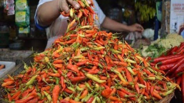 Liburnya MBG Picu Harga Telur dan Cabai di Lumajang Anjlok