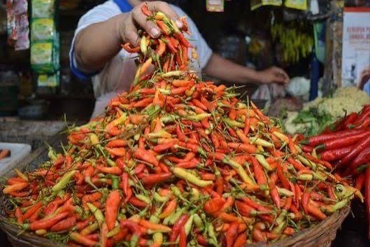 Liburnya MBG Picu Harga Telur dan Cabai di Lumajang Anjlok