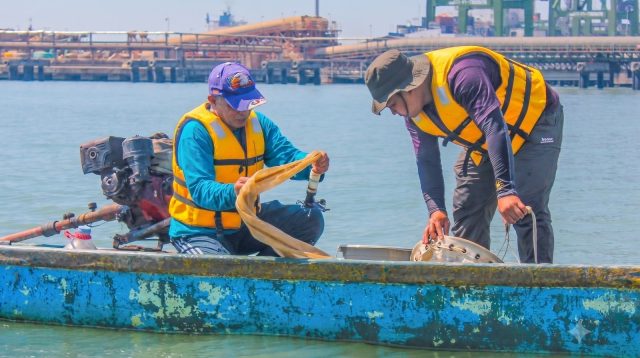 BRIN Ungkap Biota Laut Teluk Lamong Masih Subur dan Terjaga