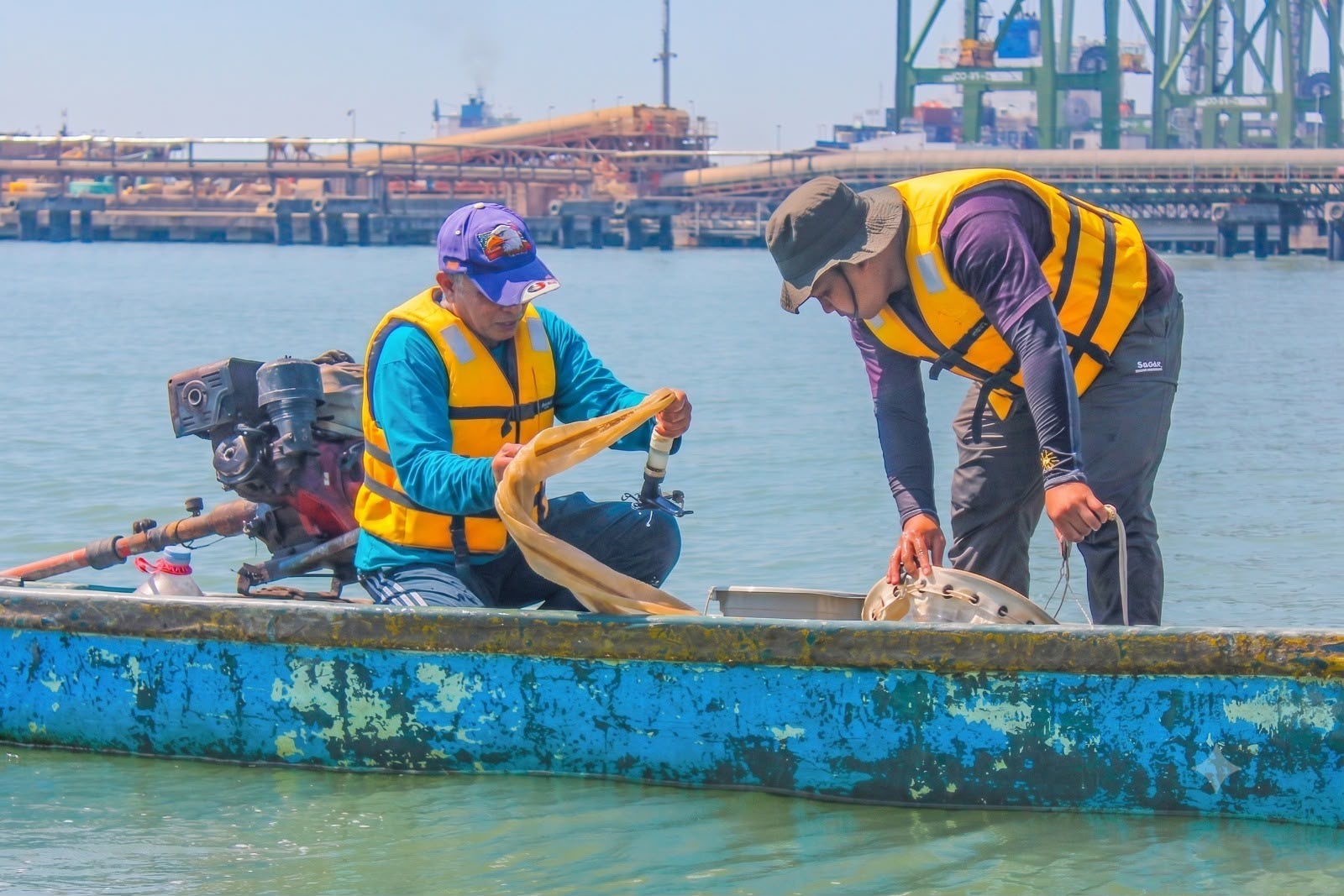 BRIN Ungkap Biota Laut Teluk Lamong Masih Subur dan Terjaga