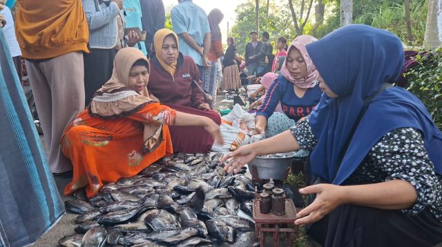 Ikan Mabuk Muncul di Danau Ranu Klakah Lumajang, Lapak Dadakan Bermunculan