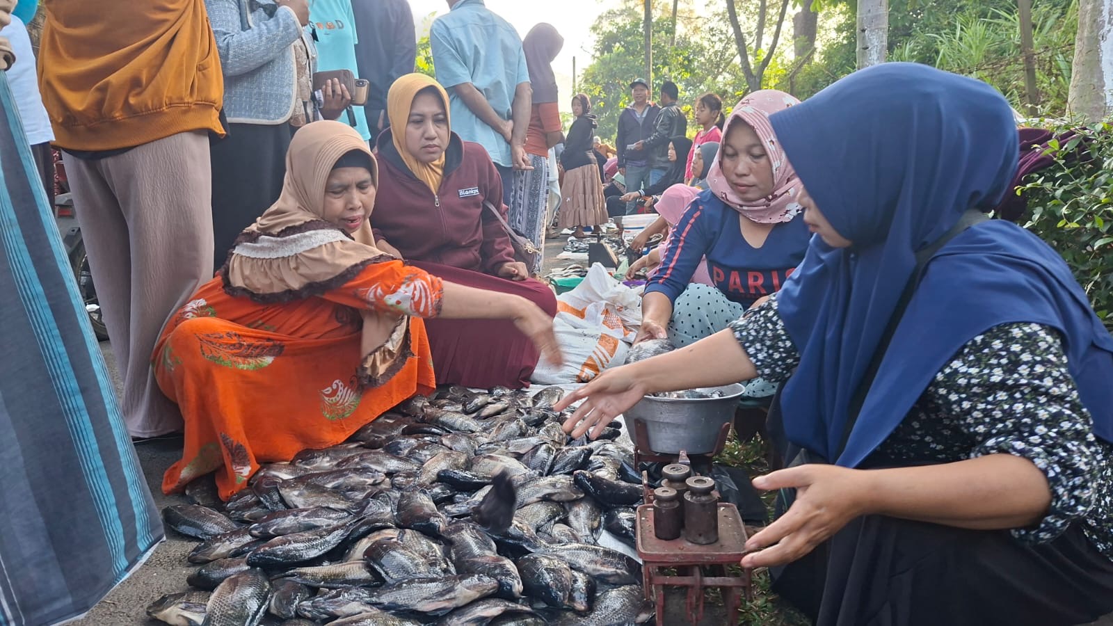 Ikan Mabuk Muncul di Danau Ranu Klakah Lumajang, Lapak Dadakan Bermunculan