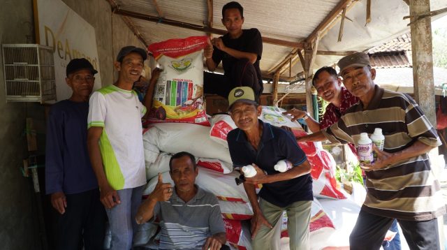 PLN Modernisasi Pertanian Desa Bektiharjo Lewat Listrik, Optimis Panen Meningkat