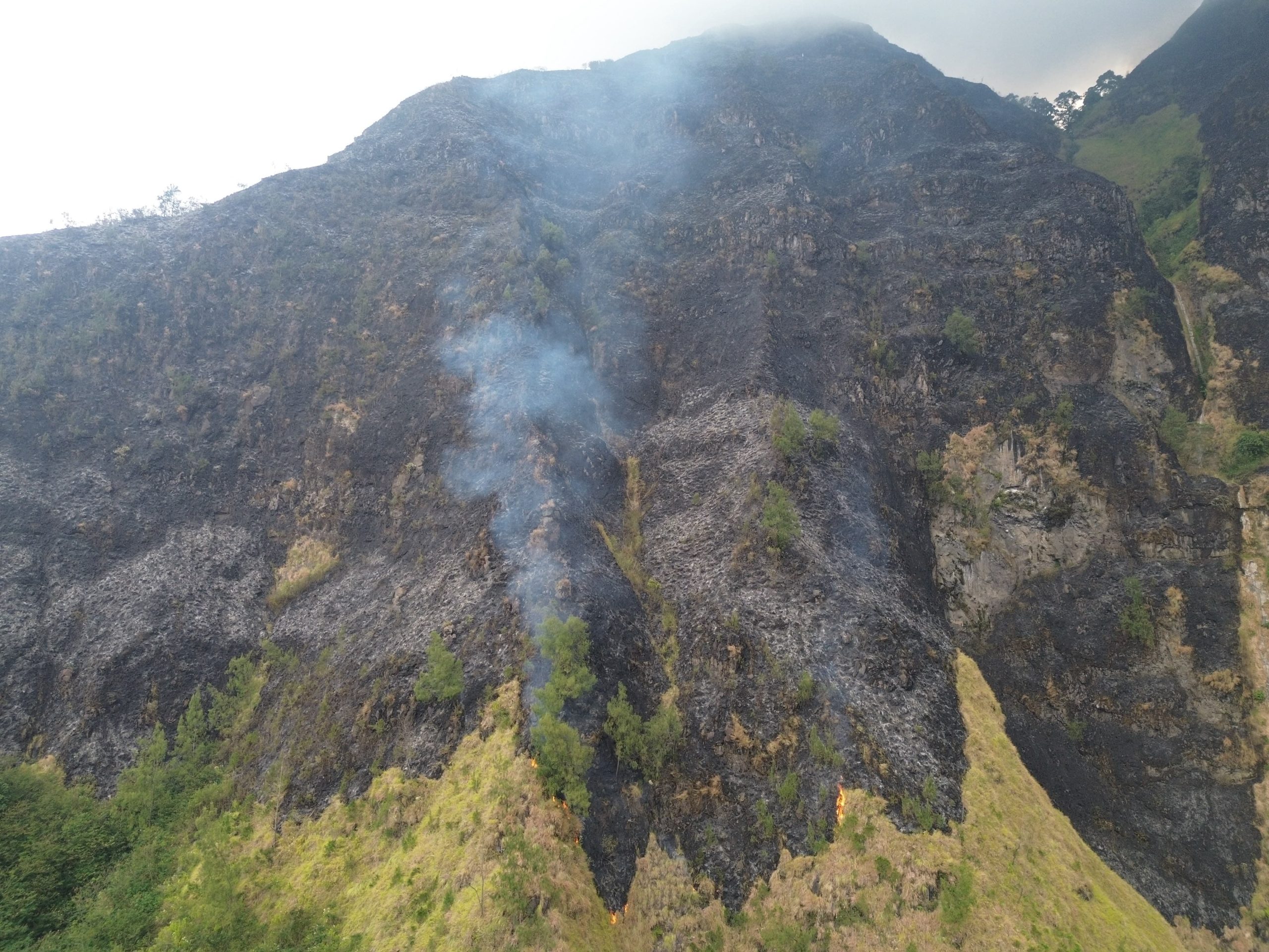 Karhutla Gunung Ringgit Seluas 4,5 Hektare Mulai Terkendali, BPBD Tetap Waspada