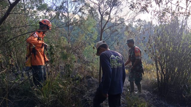 Satu Hektar Lahan TNBTS di Bukit Sentong Terbakar, Api Berhasil Dikendalikan