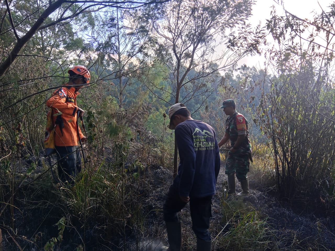 Satu Hektar Lahan TNBTS di Bukit Sentong Terbakar, Api Berhasil Dikendalikan