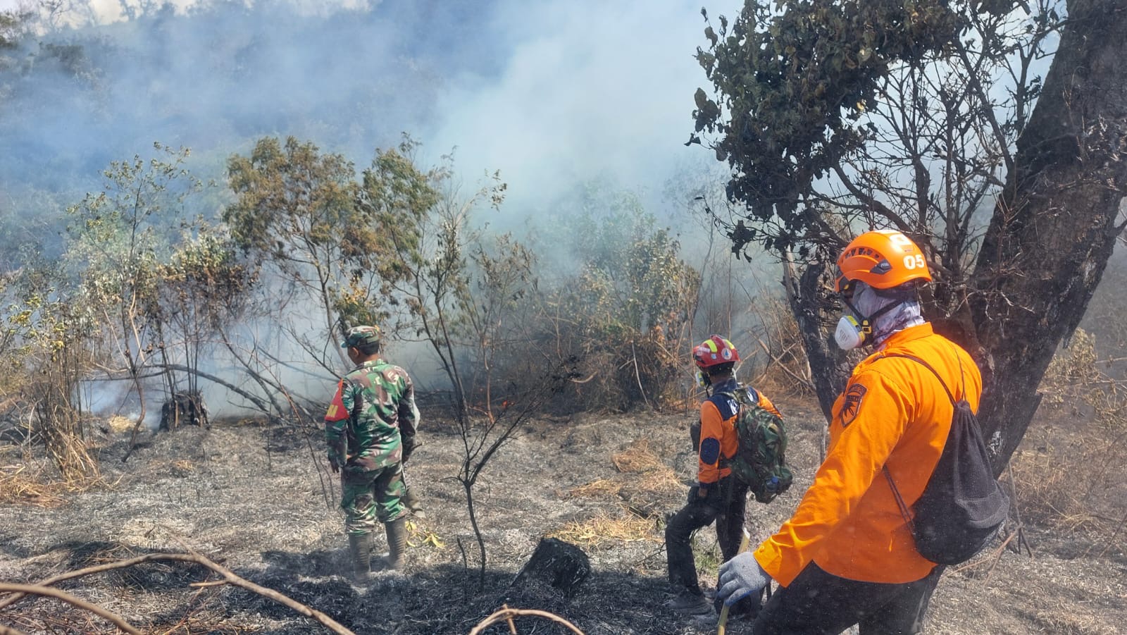 Jalur Pendakian Ranu Kumbolo Dikepung Api, 160 Hektare Kawasan Gunung Semeru Hangus