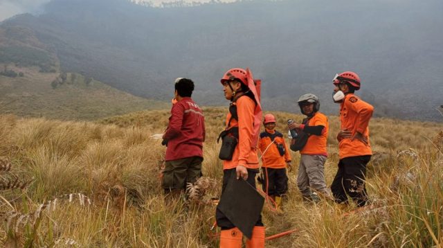 Tim gabungan melakukan pemadaman kebakaran hutan dan lahan (karhutla) di kawasan Gunung Bromo, Kabupaten Probolinggo, Jawa Timur.