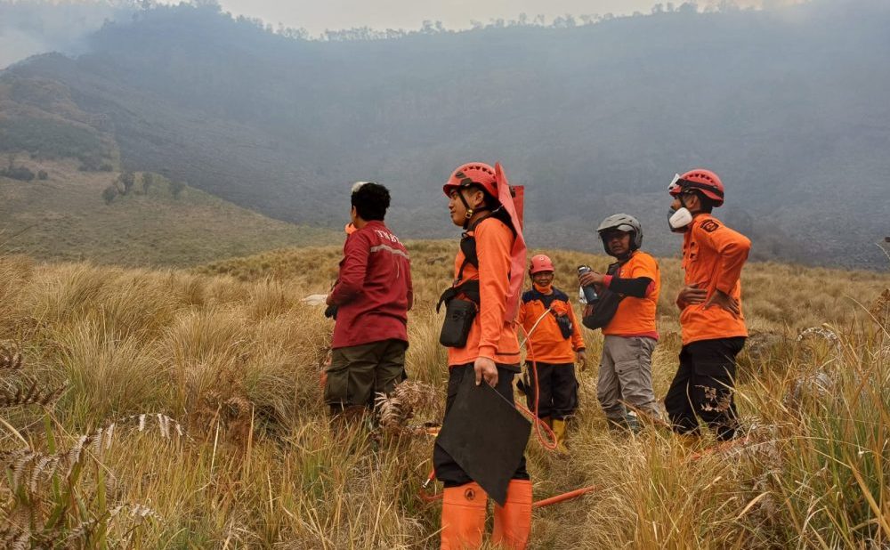 Tim gabungan melakukan pemadaman kebakaran hutan dan lahan (karhutla) di kawasan Gunung Bromo, Kabupaten Probolinggo, Jawa Timur.