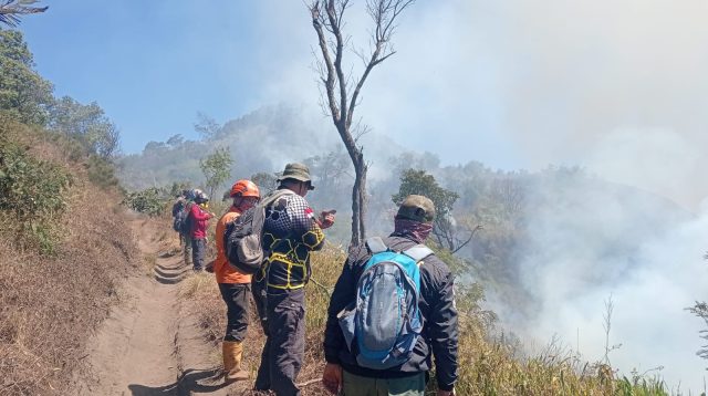 Kebakaran TNBTS Meluas hingga Mendekati Wisata B29 Lumajang