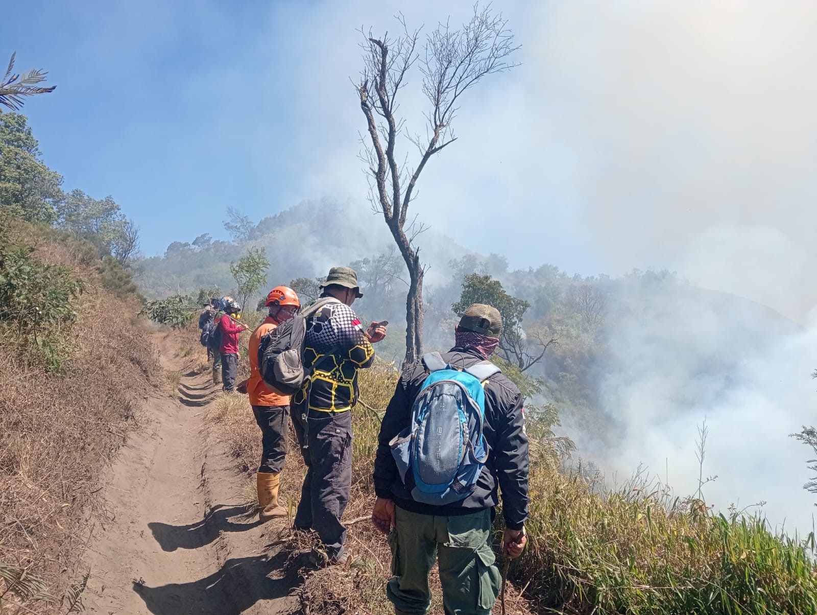 Kebakaran TNBTS Meluas hingga Mendekati Wisata B29 Lumajang