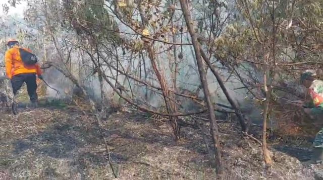 Karhutla TNBTS Belum Padam, 170 Pendaki Semeru Dievakuasi