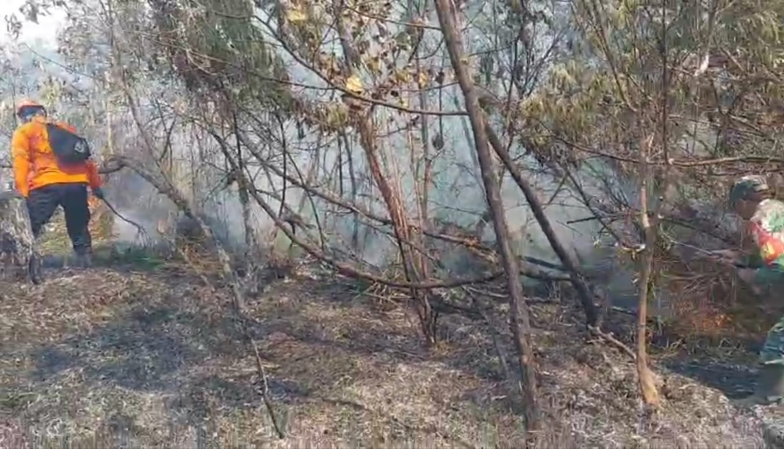 Karhutla TNBTS Belum Padam, 170 Pendaki Semeru Dievakuasi