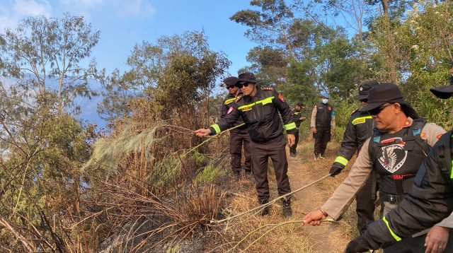Cegah Api TNBTS Meluas ke Lumajang, Petugas Buat Sekat Bakar