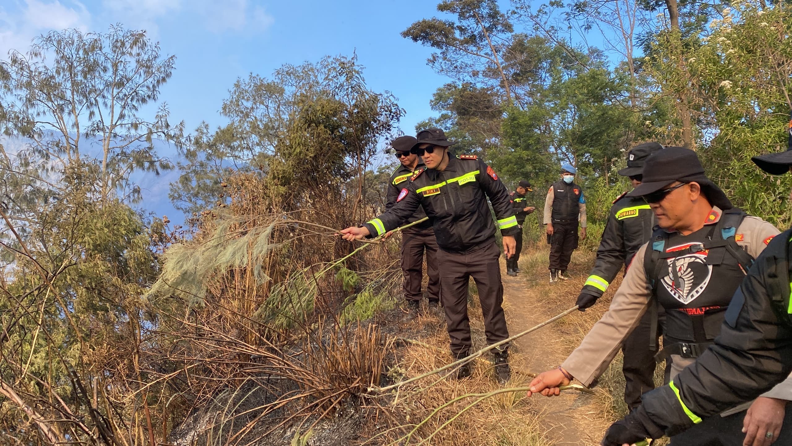 Cegah Api TNBTS Meluas ke Lumajang, Petugas Buat Sekat Bakar