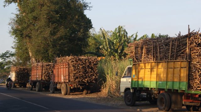 Napas Lega Petani Kediri, Musim Giling PG Ngadiredjo Beri Kepastian Penyerapan Tebu