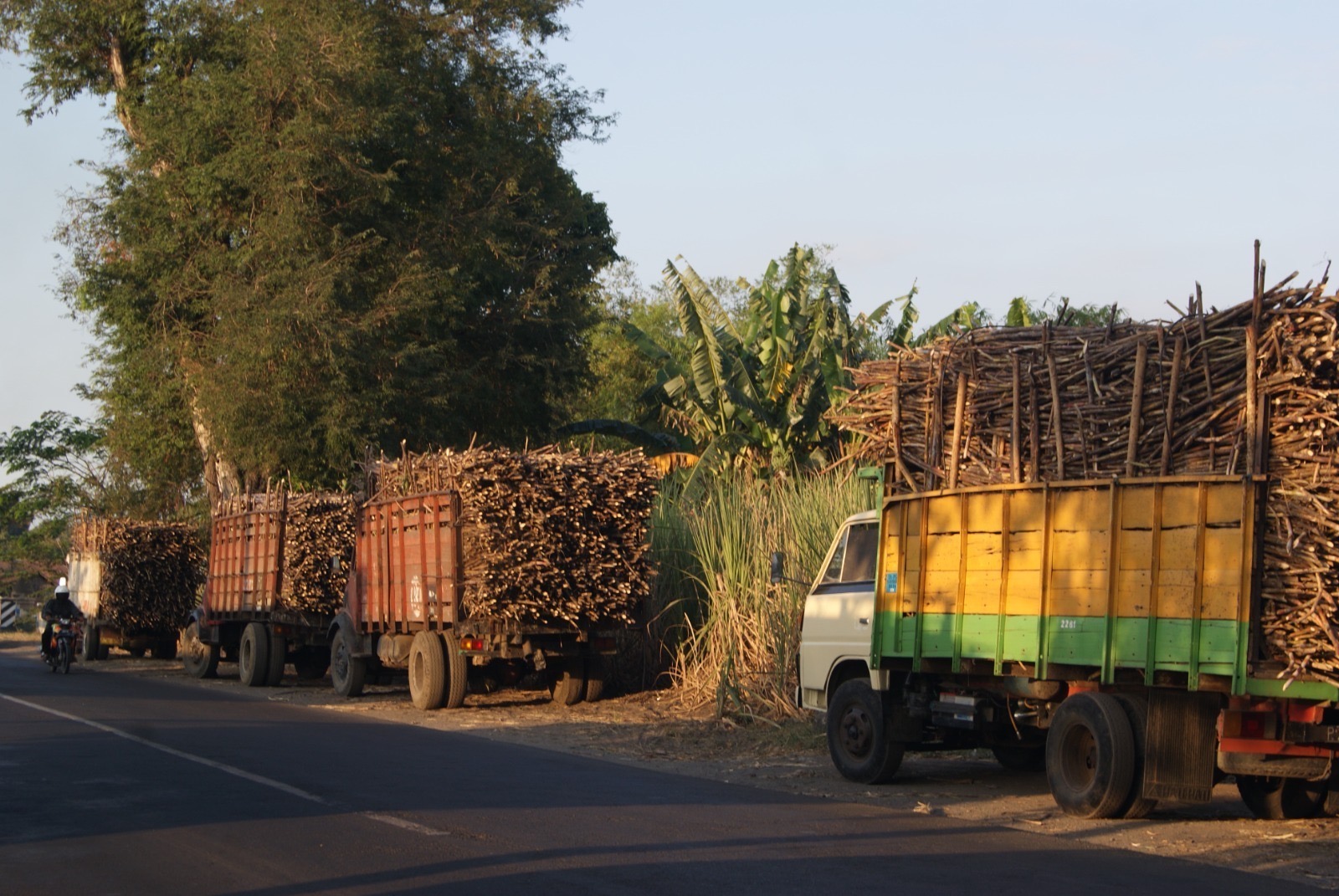 Napas Lega Petani Kediri, Musim Giling PG Ngadiredjo Beri Kepastian Penyerapan Tebu
