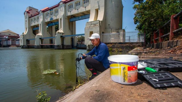 Busa Kebakaran Industri Diduga Racuni Sungai Jagir, Ratusan Ikan Mati Massal