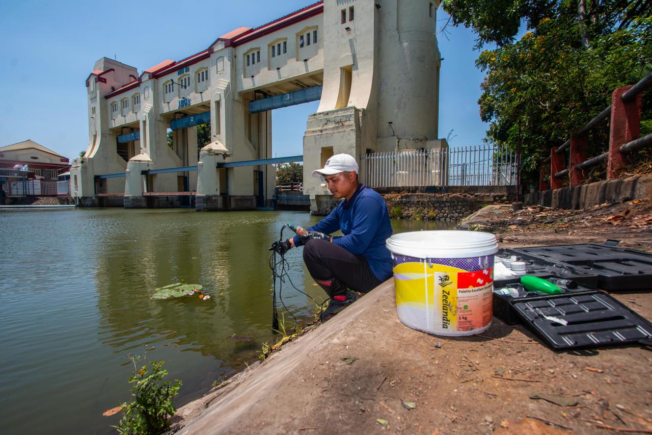 Busa Kebakaran Industri Diduga Racuni Sungai Jagir, Ratusan Ikan Mati Massal